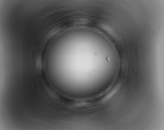 X0000092331113200709211302