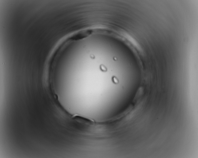 X0000092331116200709211302