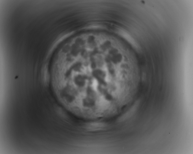 X0000092331117200709211302