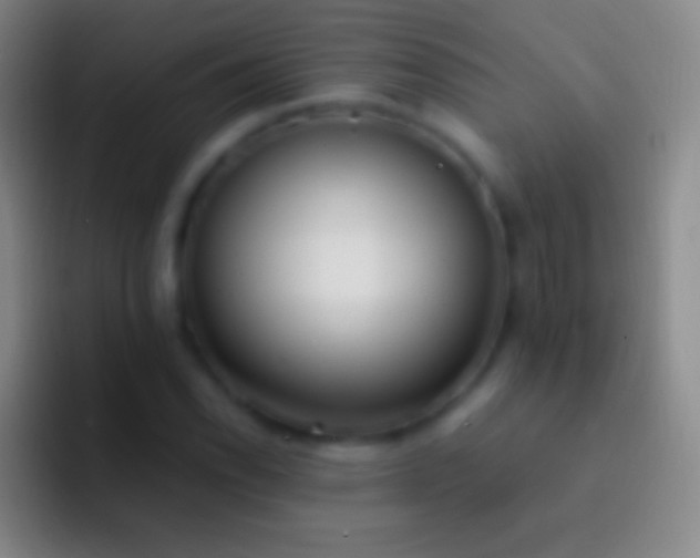 X0000092331118200709211302