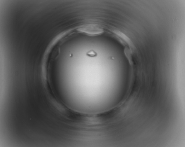 X0000092331120200709211302