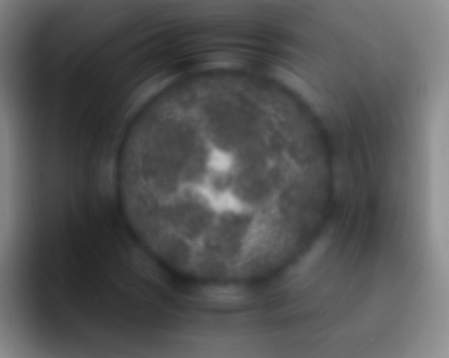 X0000092331121200709211302