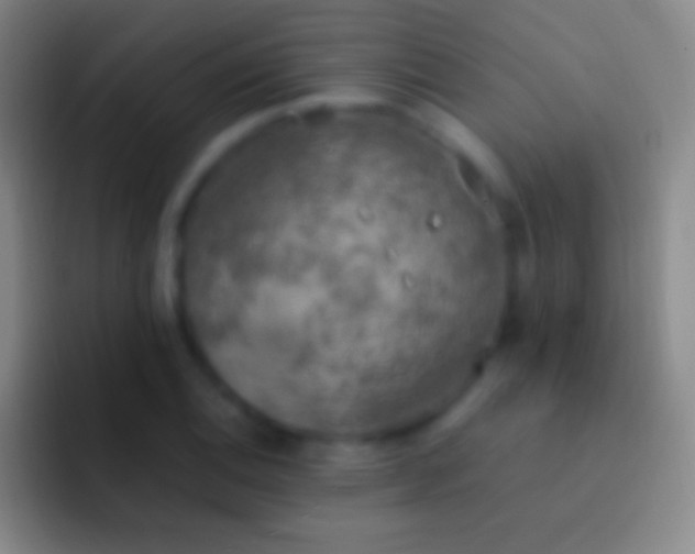 X0000092331124200709211302