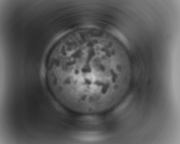 X0000092331125200709211302