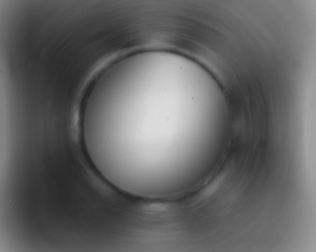 X0000092331126200709211302