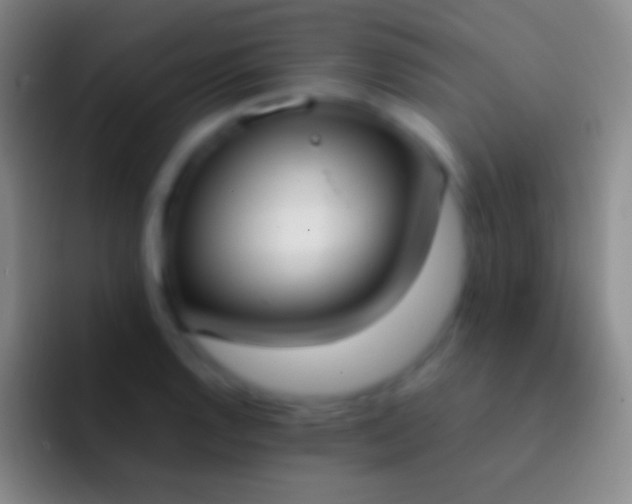 X0000092331128200709211302