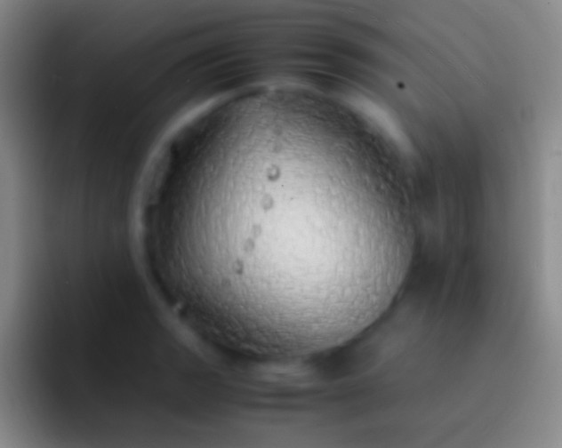 X0000092331133200709211302