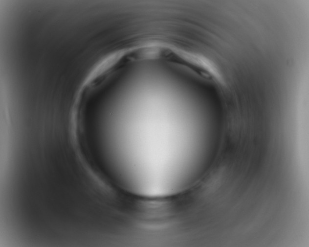 X0000092331134200709211302