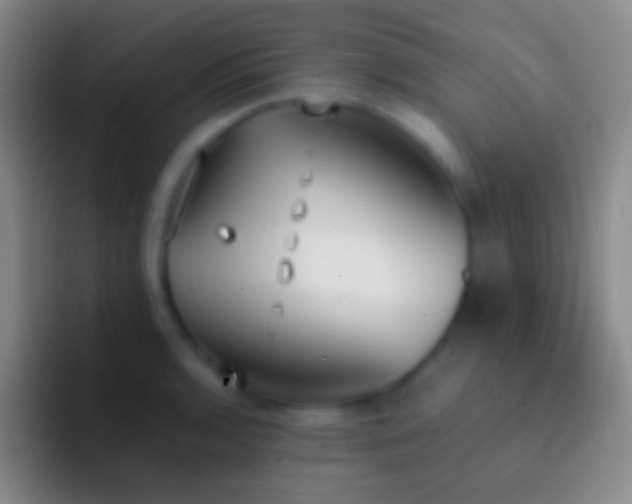 X0000092331136200709211302