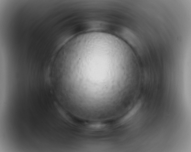 X0000092331137200709211302