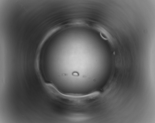 X0000092331139200709211302