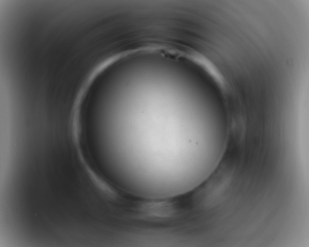 X0000092331143200709211302
