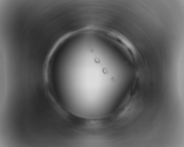 X0000092331148200709211303