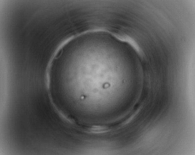 X0000092331151200709211303