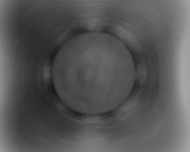 X0000092331154200709211302