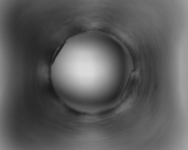 X0000092331156200709211302