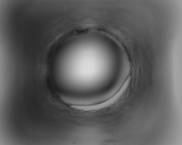 X0000092331157200709211302