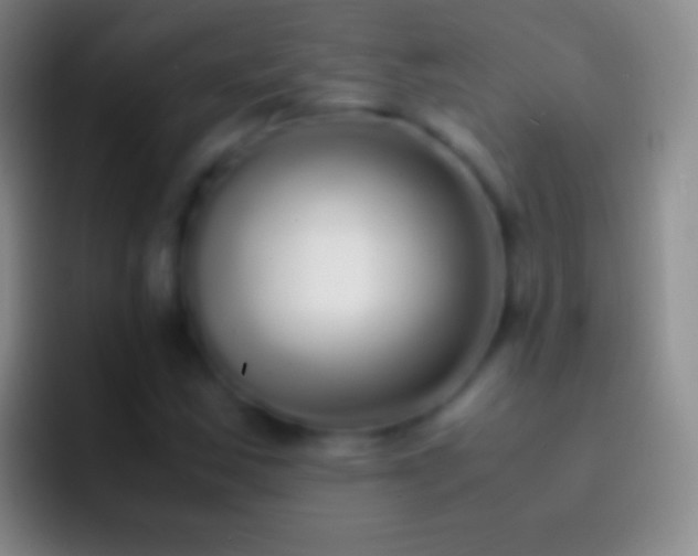 X0000092331163200709211302