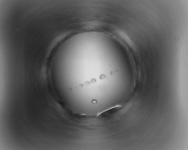 X0000092331164200709211302