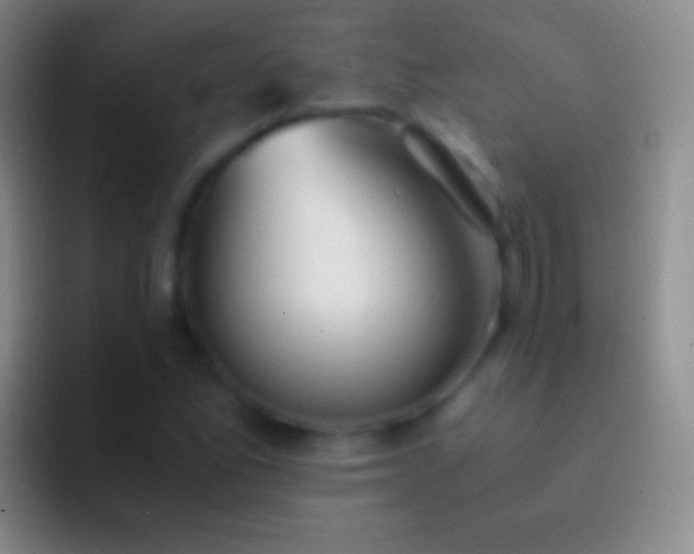 X0000092331165200709211302