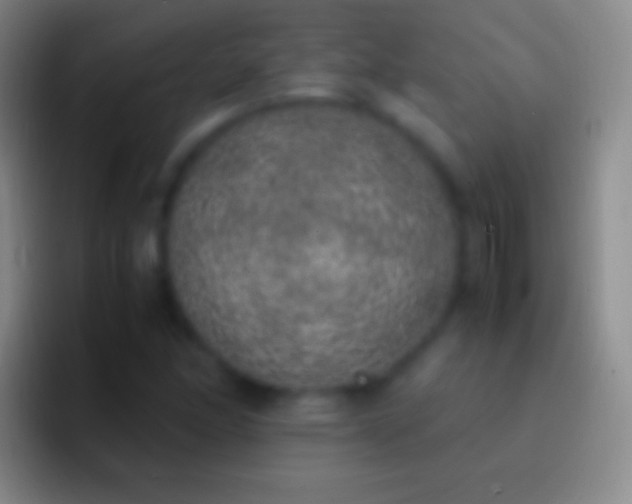 X0000092331166200709211302