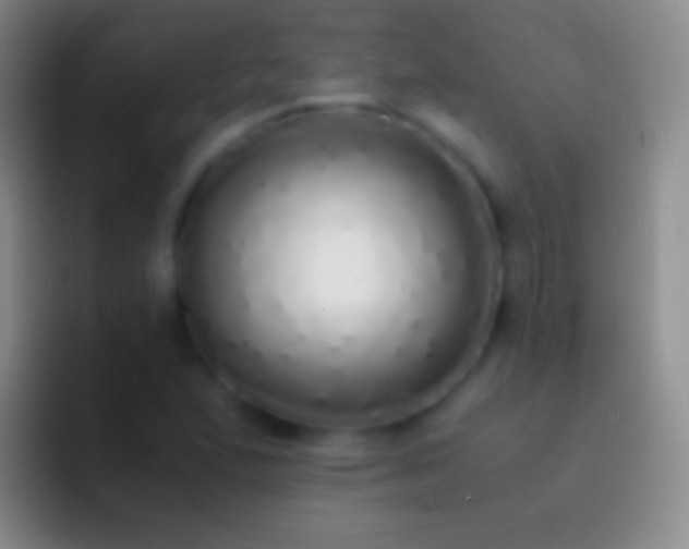 X0000092331167200709211302