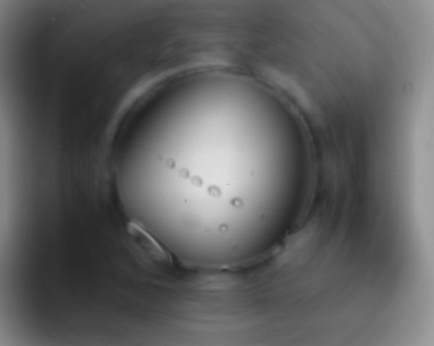 X0000092331168200709211302