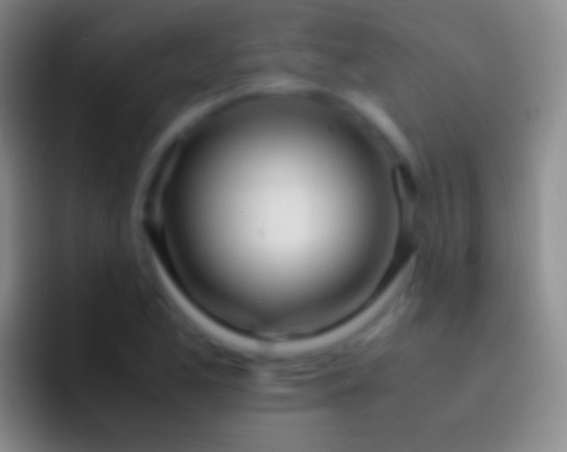 X0000092331173200709211302