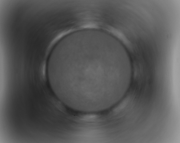 X0000092331174200709211302