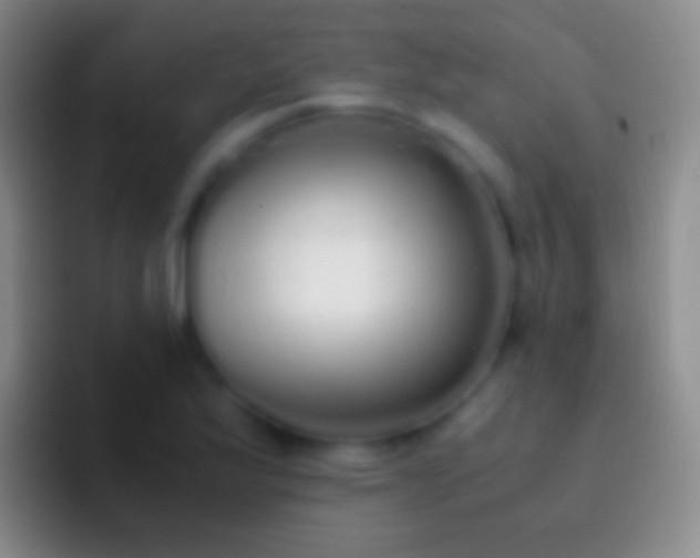 X0000092331175200709211302