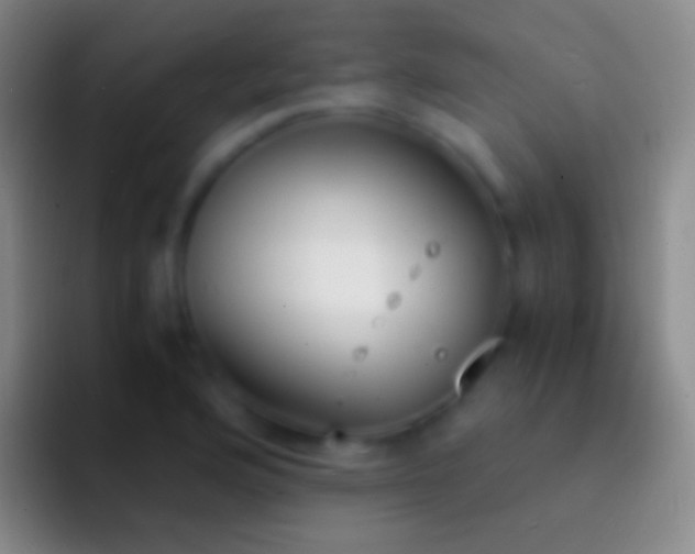 X0000092331176200709211302