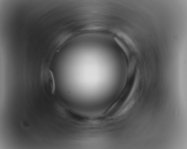X0000092331177200709211302