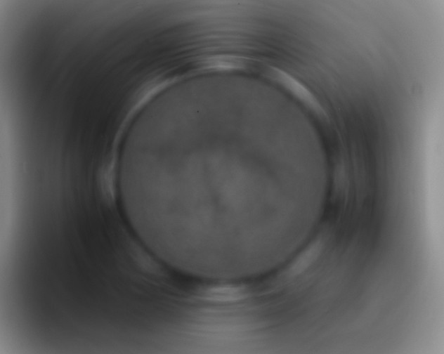 X0000092331178200709211302