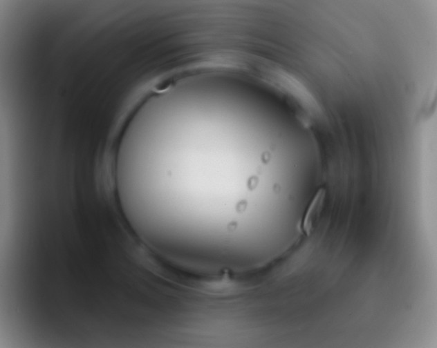X0000092331180200709211302