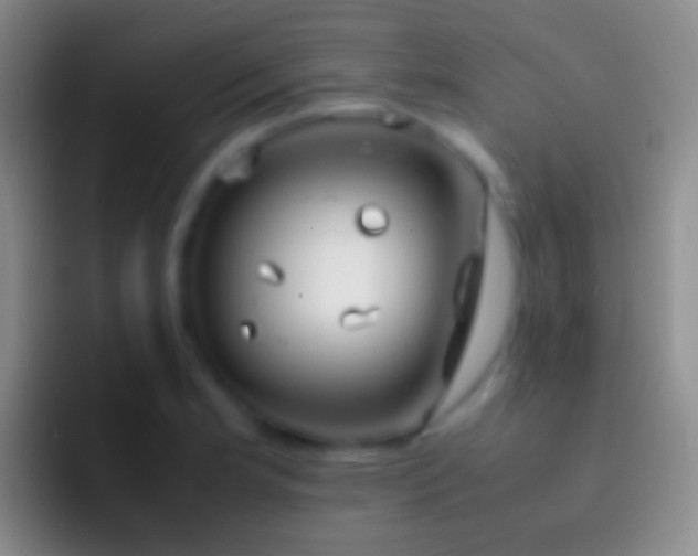 X0000092331181200709211302