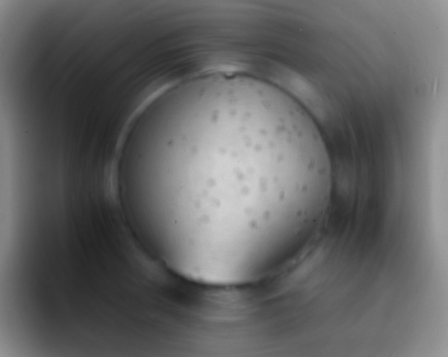 X0000092331186200709211302