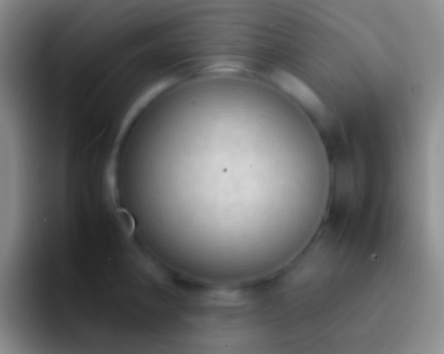 X0000092331190200709211302