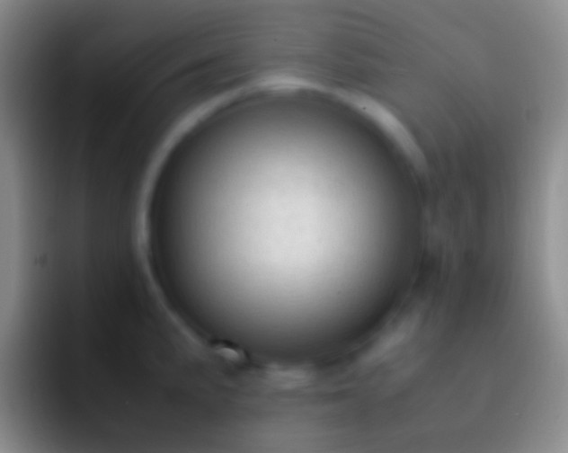 X0000092331191200709211302