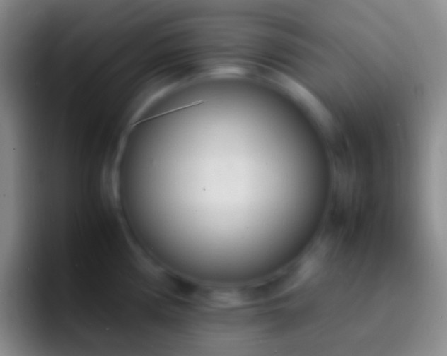 X0000092331194200709211302