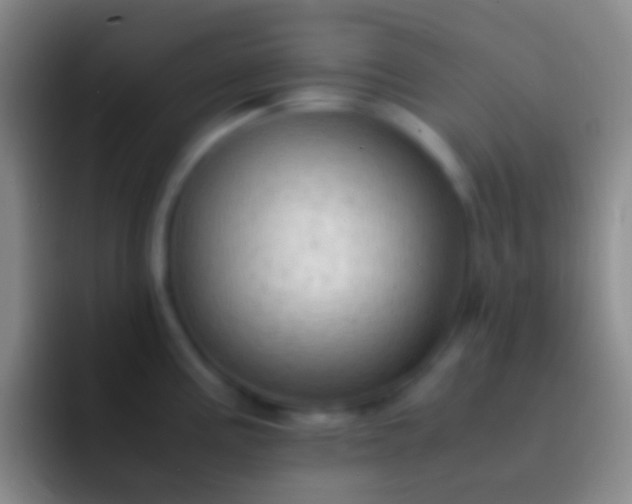 X0000092331195200709211301