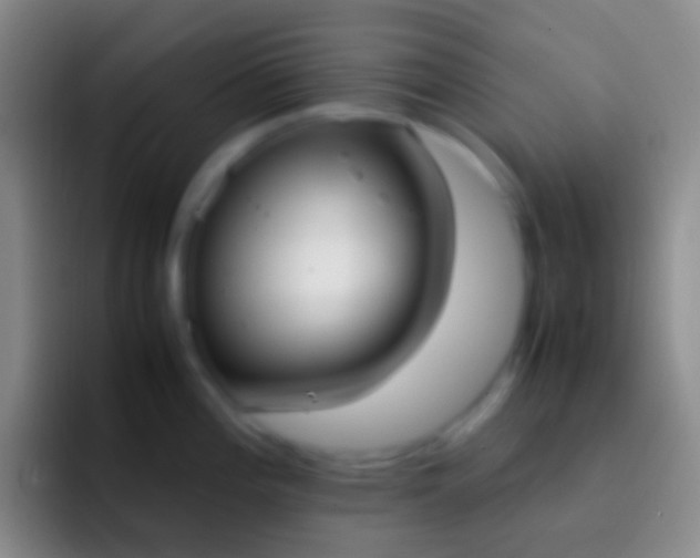 X0000092331196200709211301