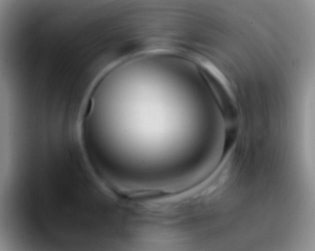 X0000092331197200709211301