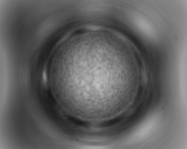 X0000092331198200709211301