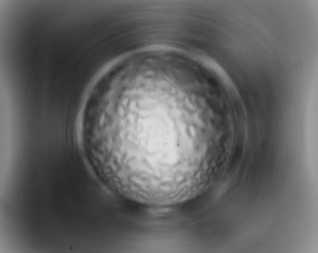 X0000092331199200709211301