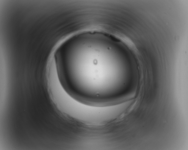 X0000092331200200709211301