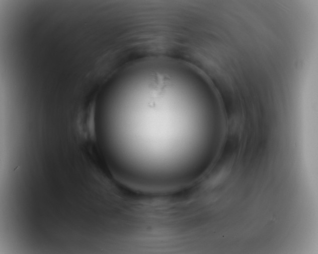 X0000092331202200709211301