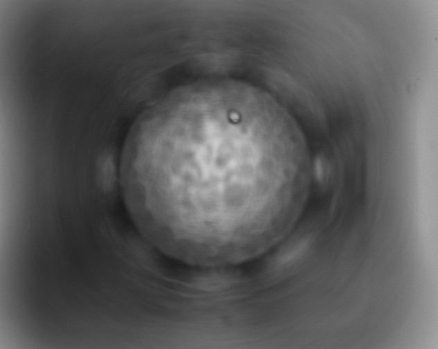 X0000092331203200709211301