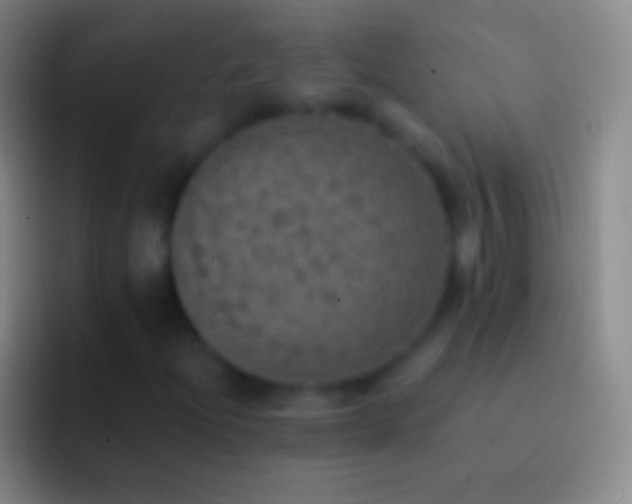 X0000092331204200709211301