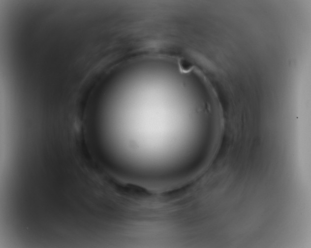 X0000092331206200709211301