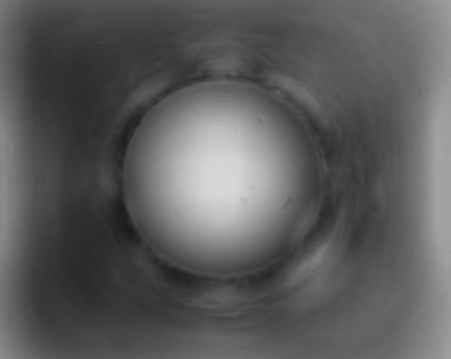 X0000092331207200709211301